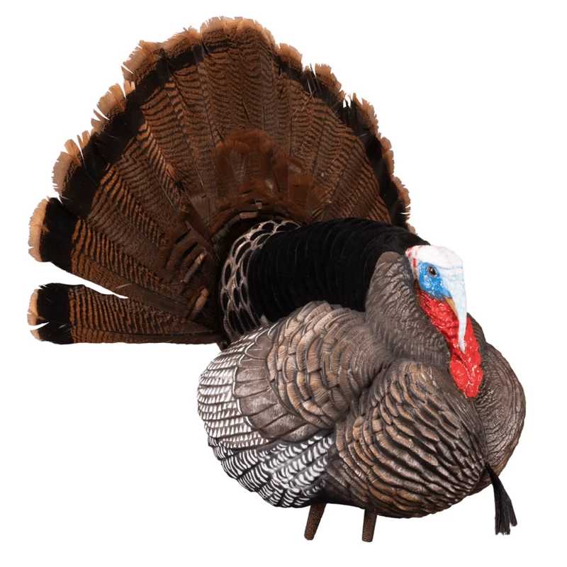 Higdon Outdoors Apex Strutter Hard Body Turkey Decoy - Image 3