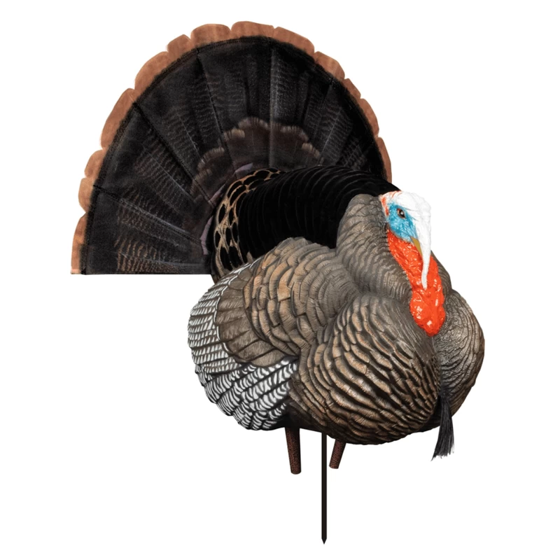 Higdon Outdoors Apex Strutter Hard Body Turkey Decoy - Image 2