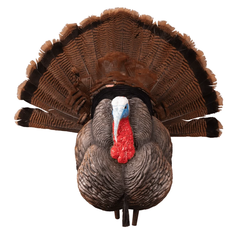 Higdon Outdoors Apex Strutter Hard Body Turkey Decoy - Image 6