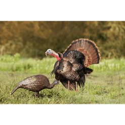 Higdon Outdoors Hard Body Feeder Hen Decoy