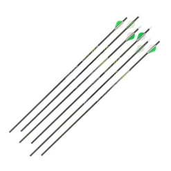 Allen Razor ZX600 29" Carbon Arrow (6 Pack)