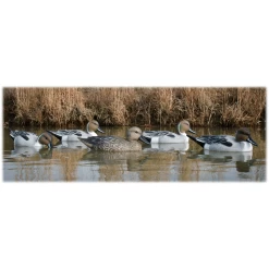 Higdon Outdoors Standard Battleship Pintail Decoy (6 Pack)
